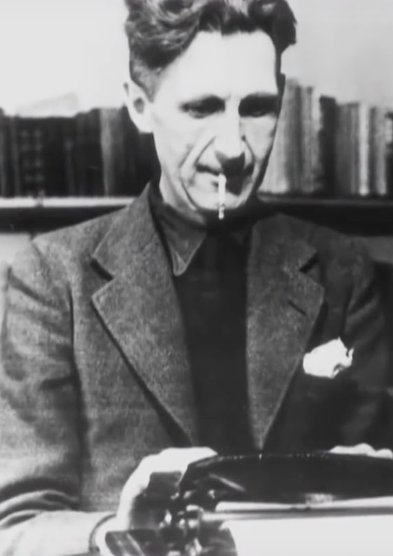 EIGHTYFOUR Noon Films Limited